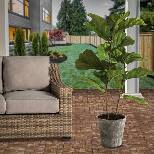 3.5ft. Fiddle Leaf Fig Tree